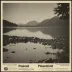 Polaroid B&W 8x10 Film