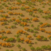 Puget Trough Oak Savanna
