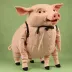 Pig Stage Puppet 2853