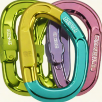 Petzl Iridescent Screwgate Carabiner