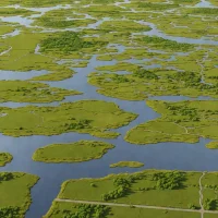 Plum Island Marshes