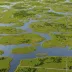 Plum Island Marshes