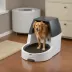 PetSafe Simply Clean