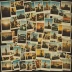 Polaroid Color Film for 600