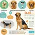 Paw Print Genetics Canine Genetic Health Panel