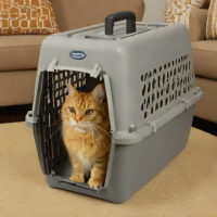 Petmate Skyway Pet Carrier