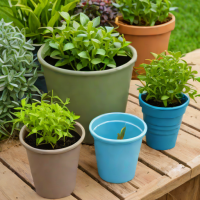 PotBuddy Self-Watering Inserts