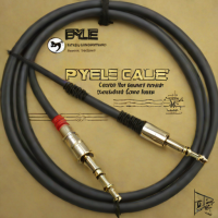 Pyle Instrument Cable 6ft