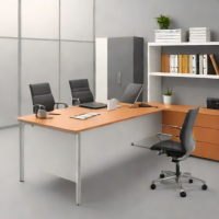 Paper Mate Clearpoint