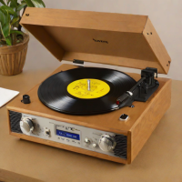 Pyle PTTR300