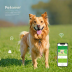 Petoneer Smart GPS Pet Tracker