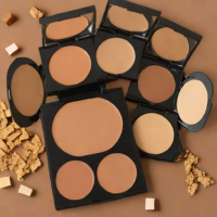 Profusion Cosmetics Contour & Highlight Foundation