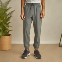Patagonia Baggies Solstice Jogger