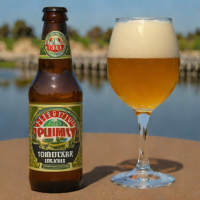 Pliny the Elder - Russian River Brewing Company