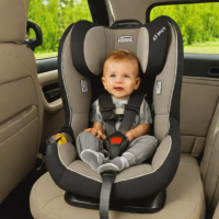 Peg Perego Primo Viaggio Convertible Car Seat