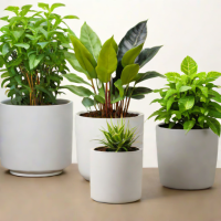 PlanterPal Companion Pots
