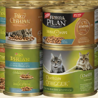 Purina Pro Plan Cat Food