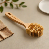 Package Free Shop Dish Brush