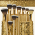 Profusion Cosmetics Gilded Secrets Brush Set