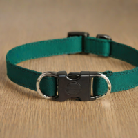 PetSafe Premier Quick Snap Collar