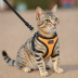 Poyoung Cat Harness