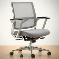 Paper Source Paper Clips