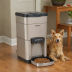 PetSafe SmartFeeder