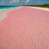 Pink Sands Beach, Harbour Island, Bahamas