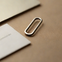 Paperclip Co. - The Minimalist Paper Clip - Titanium