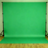 ProLine Designs 10x10ft Green Screen