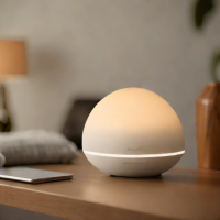Philips Hue Go