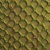 QuantumShield Mesh