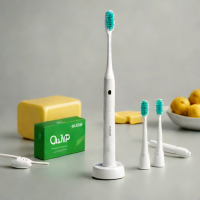 Quip Electric Toothbrush with Whitening Pods
