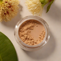 Rare Beauty Soft Radiance Setting Powder