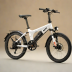 Rad Power Bikes RadMini 2