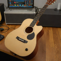 Rogue RD-124 Acoustic Guitar