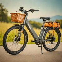 Rad Power Bikes RadRunner 2
