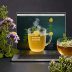 Republic of Tea Get Relaxed Tea