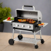 Royal Gourmet Portable Propane Grill