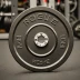 Rogue Echo Bumper Plates V2
