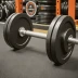 Rogue Dumbbell Bumpers