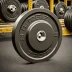 Rogue MIL Spec Echo Bumper Plates
