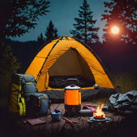 REI Co-op Flexlite Camp Chair