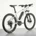 Riese & Müller Charger4