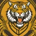 Richmond Tigers (AFL)