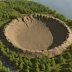 Rock Elm