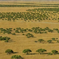 Rita Blanca National Grassland