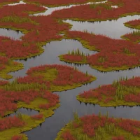 Red Lake Peatland