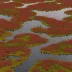 Red Lake Peatland