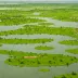 Ropar Wetland